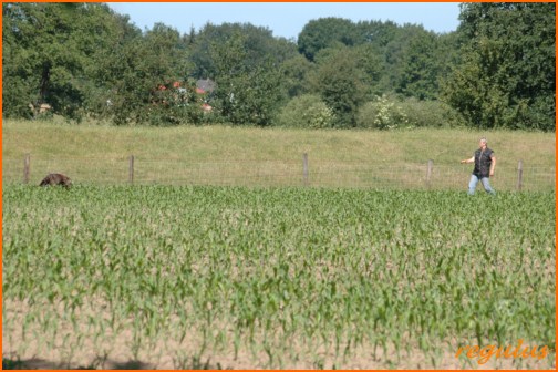 Oldenburg 2. Juni 20111
